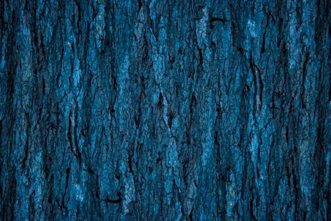 The art of crack tree cut surface for texture and background or backdrop 写真素材