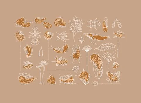 Art Deco flora fauna elements Stockillustratie