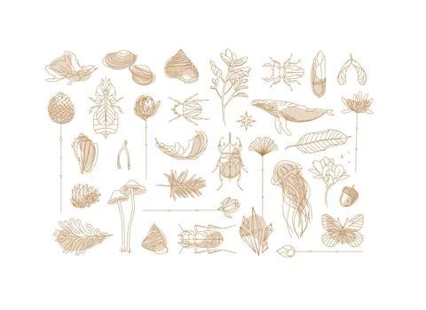 Art Deco flora fauna elements Stock Illustration