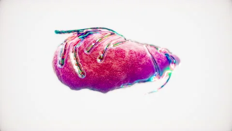 ART | Digital Alternative Brain 3D. Neural Network expanding. Artificial Stock Footage 170363626