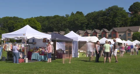 Art fair time-lapse Stock Footage 145008991