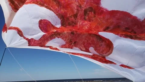 Art flag Stock Footage 167376556