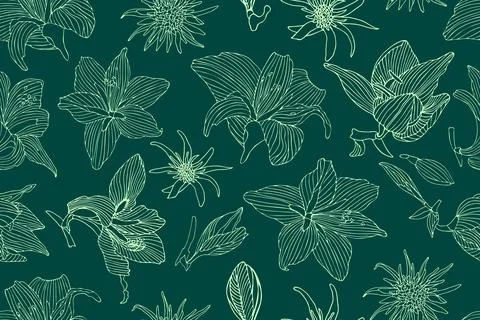 Art floral vector seamless pattern. Light hippeastrum and tragopogon flowers Stock Illustration