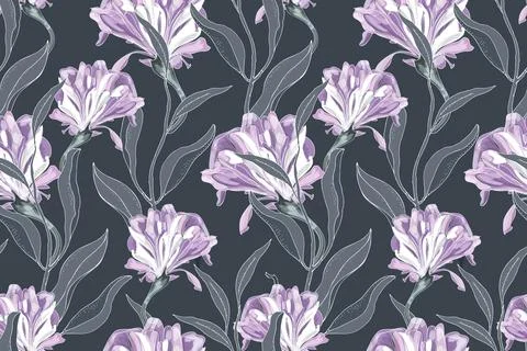Art floral vector seamless pattern. Delicate purple Ipomoea, morning glory. Stock Illustration