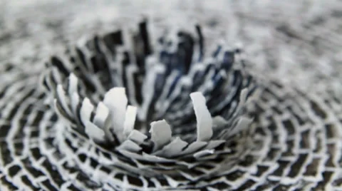 Art flower paper 스톡 동영상 37707723