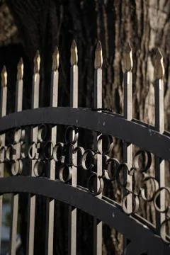 Art forging elements and iron fence Foto stock