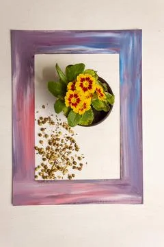 Art frame Stock Photos