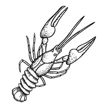 Art &amp; Illustration Stock Illustration
