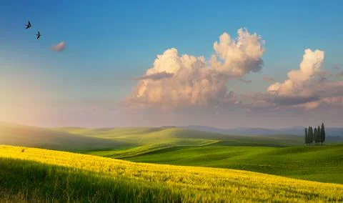 Art Impressive spring landscape, view with cypresses and farm fields, Tuscany Stock Photos
