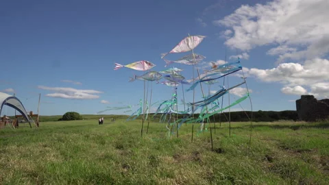 Art instillation of fish blowing in the wind Stock Footage 137432074