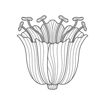Art nouveau style basic flower element. 1920-1930 years vintage design. Symbol Stock Illustration