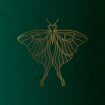 Art nouveau style butterfly basic element. 1920-1930 years vintage design Stock Illustration