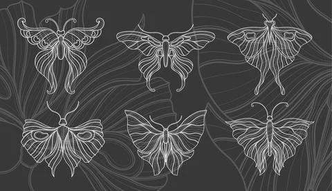 Art nouveau style butterfly basic element. 1920-1930 years vintage design Stock Illustration