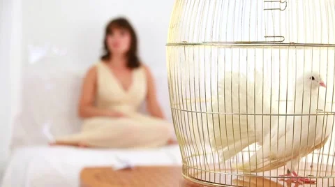 Art Of Origami Stock Footage 52436568