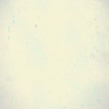 Art paper background or texture Stock Photos