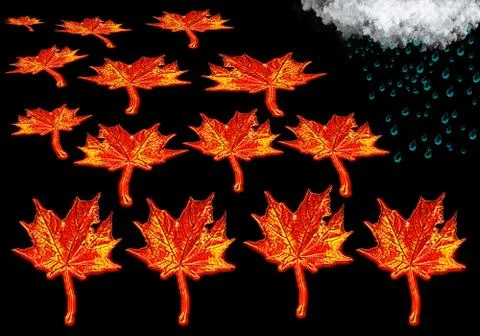 Art pattern of autumn maple leaves Stock Photos