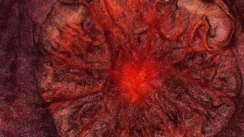 This art piece features abstract patterns made with alcohol ink Stock Footage 337892481