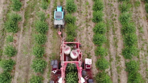 The art of precision – machine-powered cherry picking captured by drone Stock Footage 301788349
