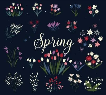 Art print with botanical elements. Big collection of flowers, leaves, and spring Stock Illustration