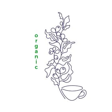 Art single line. Vector illustration. Coffee plant Stock Illustration