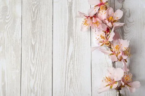 Art Spring Blooming spring flowers on wooden background Stock Photos