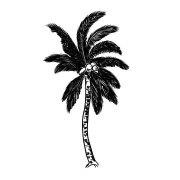 Art work coconut tree Stock Illustration