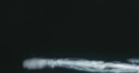 Arteries and veins passing through the human hand Stock-Footage 313623486