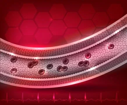 Artery anatomy on background Stock Illustration