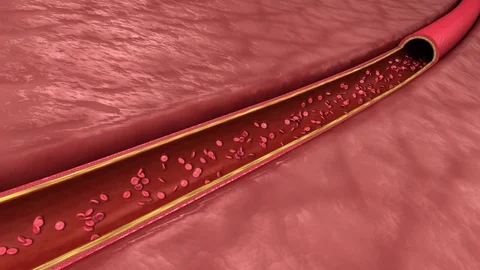 Artery Blood Flow 库存影片 83043656