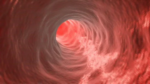 Artery Stock Footage 799046