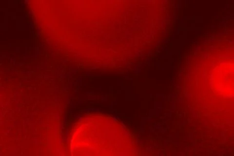 Artery view from the inside. 3D render Stock Illustration