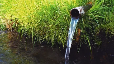 Artesian source. Clean drinking water. Juicy greens and stream Stock Footage 109440714