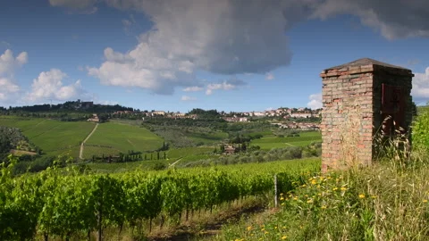 Artesian well in the middle of beautiful vineyards Video stock 133236412