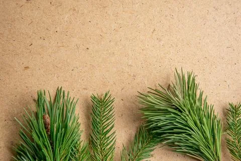 Artfully arranged fresh pine branches rest on a textured brown kraft paper su Stock Photos