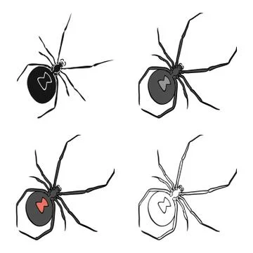 An arthropod bug is an insect.A spider, a predatory insect single icon in Stock Illustration