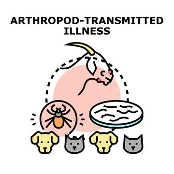 Arthropod transmitted illness concept with tick and animals Stock Illustration
