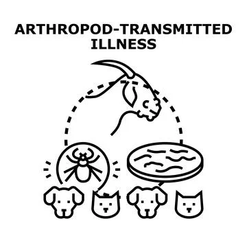 Arthropod transmitted illness concept with tick and animals Stock Illustration