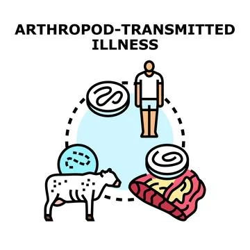 Arthropod transmitted illness lifecycle and vector disease Stock Illustration