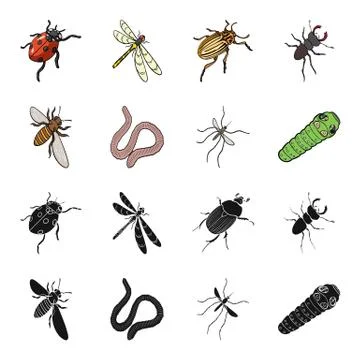 Arthropods insect mosquito, bee.Earth worm, caterpillar,vermicular set Stock Illustration