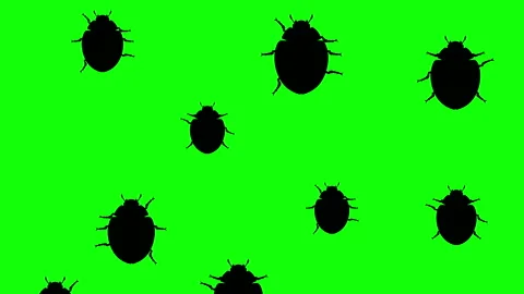 Arthropods running up Stock Footage 90453724