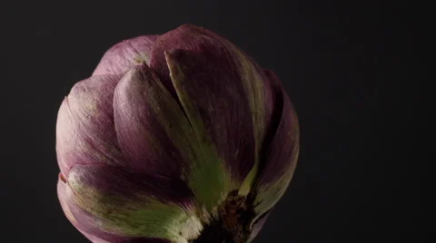 Artichocke turning Stock Footage 50126873