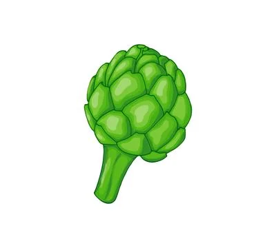 Artichoke 3 Stock Illustration