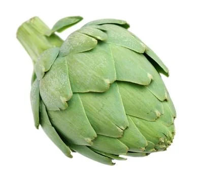Artichoke bulb Stock Photos