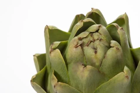 Artichoke close up Stock Photos