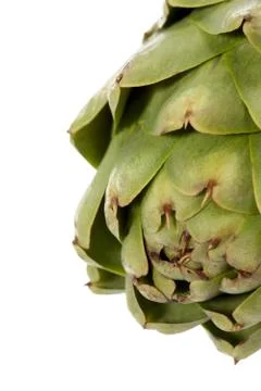 Artichoke up close Stock Photos