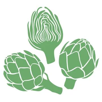 Artichoke hand drawn vector set Иллюстрация