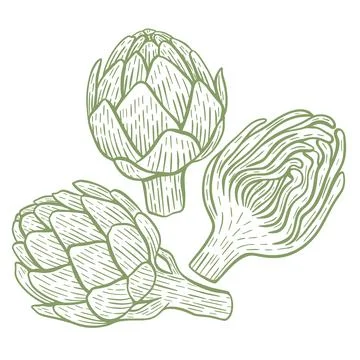 Artichoke hand engraving set Stock Illustration