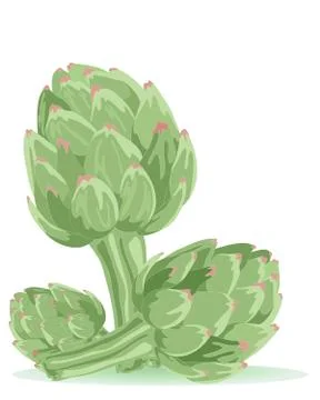 Artichoke Stock Illustration