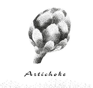 Artichoke isolated vector illustration Stock Illustration