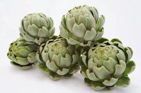 Artichoke Stock Photos